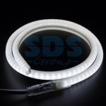 Гибкий Неон LED SMD, форма - D, белый, 120 LED/м, бухта 100м