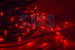 Гирлянда LED ClipLight 12V 150 мм, цвет диодов Красный