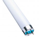 Лампа люминесцентная Т4 10W (3300K), тепл., L=327mm/342mm Т4 10W (3300K)