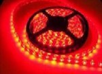 LED лента (открытый) 4,8W/1m 60LED/1м. 12V (5м) IP33 красная (8mm)