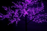 CBL-3.6-2688 Purple LED вишня H3,6m D3,0м фиолет.