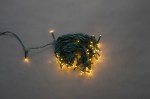 LED-TW-100-25M-24V-WW/DG 100LED, 25M (WW,IP64, 24V)